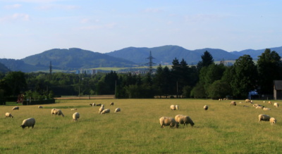 Beskyde, Beskyde ....