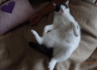 Bezstarostný spánek