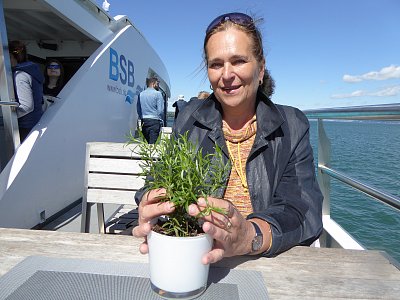 Ludmila Graningerová