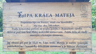 Foto ze startu