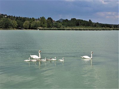Na Balatonu