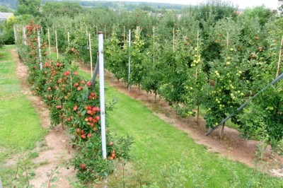 Dozrát můžeš i když jsi pod úrovní svého okolí!