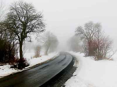 Mírmá  levotočivá