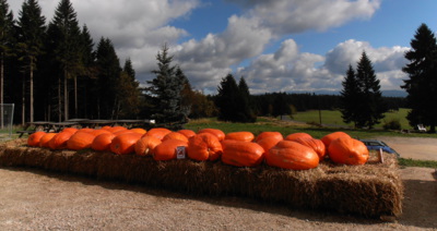 Čekání na Halloweena
