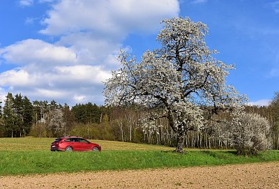 Červené autíčko.
