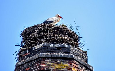 Tak ho tu máme...včera přiletěl