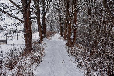 Moje pravidelná cesta kolem Podzámeckého rybníka.