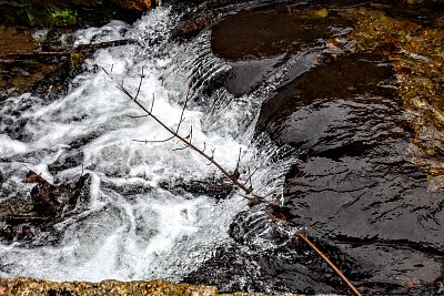 Zurčící potok v Kryštofově Údolí