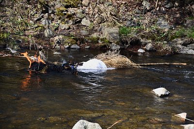 Včera jsme se rozloučili s MORANOU a přivítali JARO.