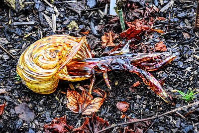 Skleněný šnek...Pačinek