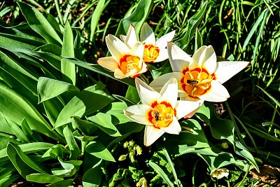 Přeji krásnou neděli