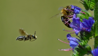 Let na volné místo
