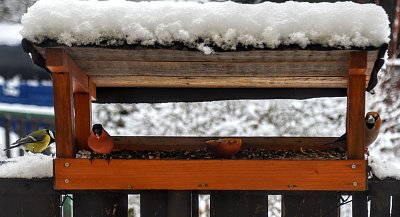 Sýkorka, hýl a dlask.