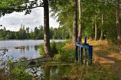 Na hrázi rybníka Peruš
