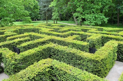 tisový labyrint