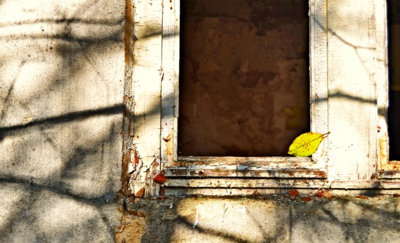 List co tu zapomněl podzim