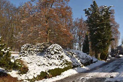 Ulice Pod Čeřovkou *