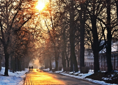 Zimní slunce v ulici