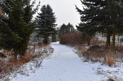 Stále ještě padá.