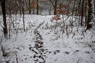Pustila mne k vodě.
