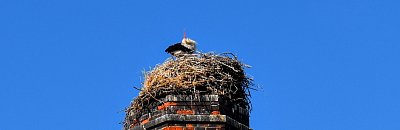 Tak tohle znamení neznám.