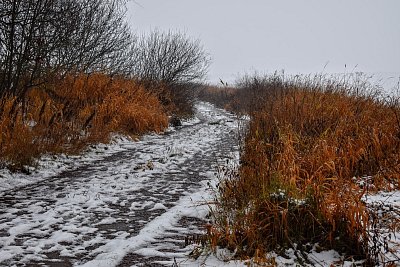 Kam to vede?