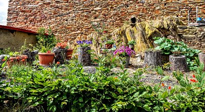 Zátiší s květinami.