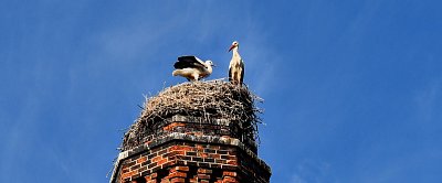 Maminko já už chci létat.