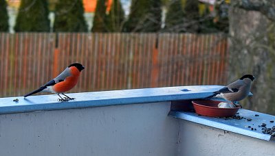 Včerejší návštěva.