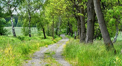 CESTIČKA BLÝSKAVÁ