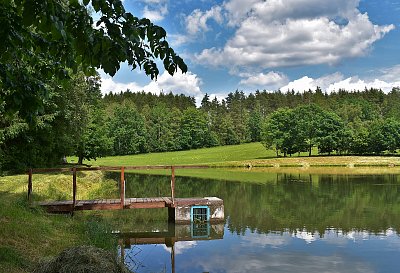 Rybníček v jarním.