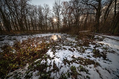 Betlémská hvězda vychází...