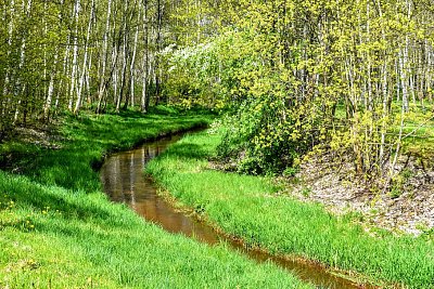 Slatinný potok...Fr. Lázně