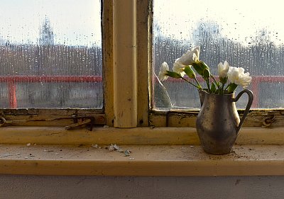 Zátiší s karafiáty.