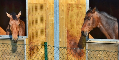 Ste ňákej smutnej... dneska.