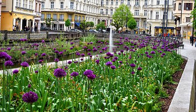Stará louka...Karlovy Vary