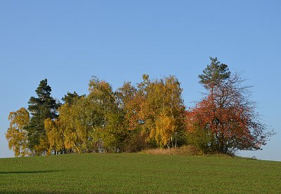 Barvy podzimu