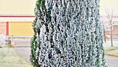 Sníh a vítr kouzlí