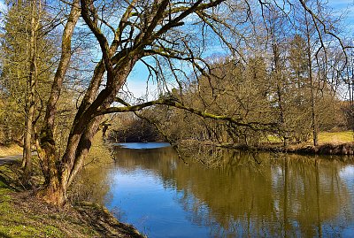 Krásný den u Sázavy.