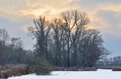 Na zmrzlém rybníku