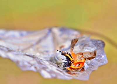 Jednou jsi dole, jednou nahoře