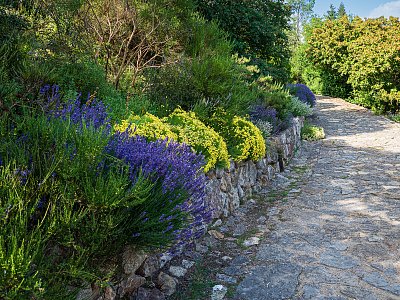 Středozemí v trojské BZ