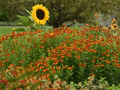 Já to tady hlídám