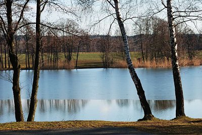 Rybník Brodský
