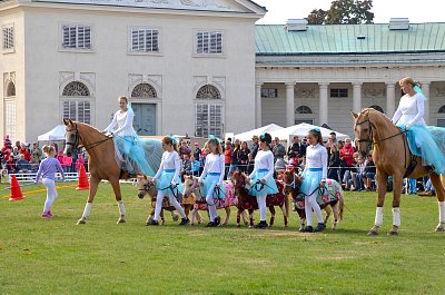 Kůň není žádné sportovní náčiní, říká Hedvika Hejhalová, chovatelka vzácného plemene falabella