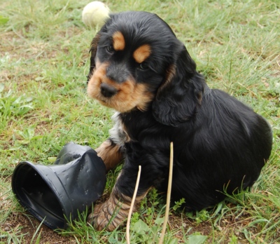 No, to samo, já za to nemůžu...