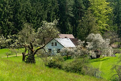 Chalupa v Pohradí
