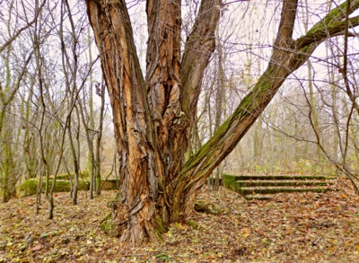 Sem chodím rovnat myšlenky