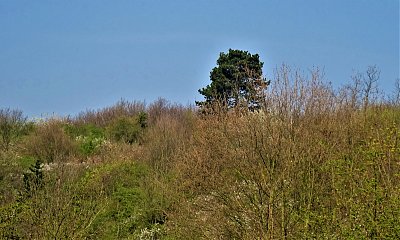 Strážce nad Prahou