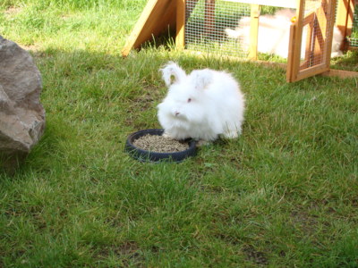 Nepotřebuji ostříhat ????